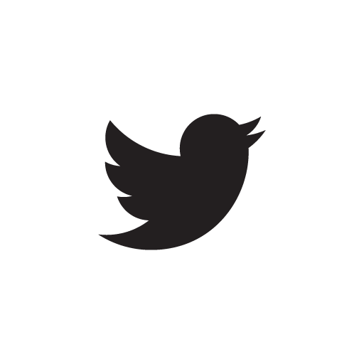 twitter-icon